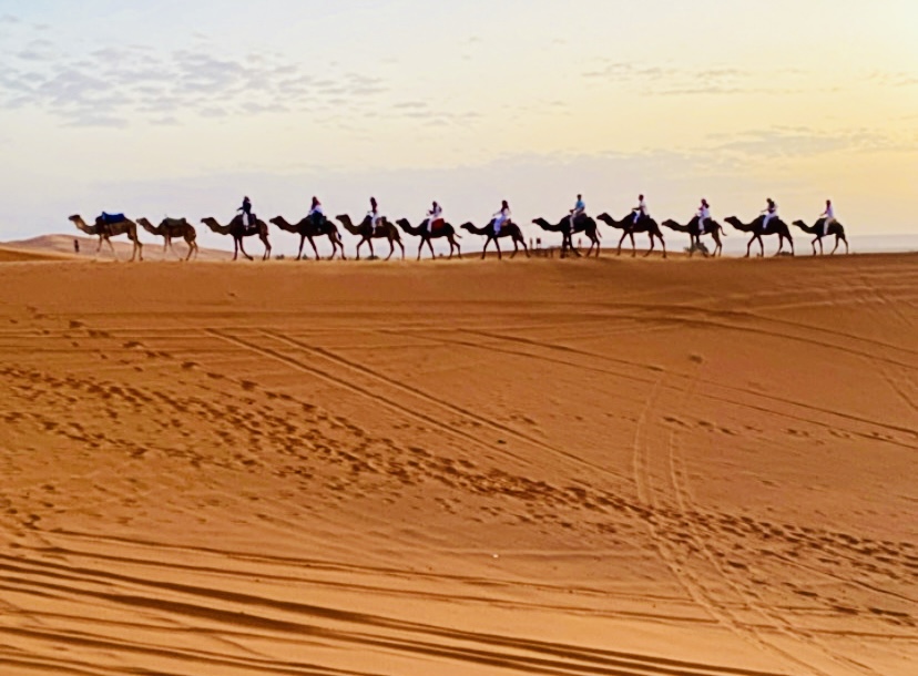 {"eid":"1018967725727398","cameraposition":1}